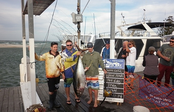 Over 20,000 trout cod were recently released into the Macquarie River at three locations downstream of Bathurst.